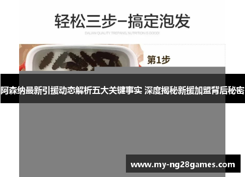 阿森纳最新引援动态解析五大关键事实 深度揭秘新援加盟背后秘密