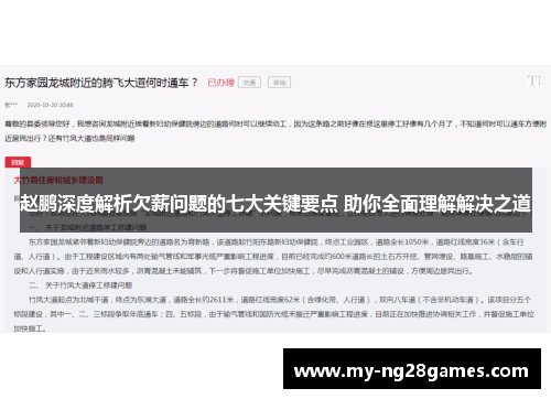 赵鹏深度解析欠薪问题的七大关键要点 助你全面理解解决之道